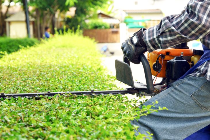 Gartenservice Bremen